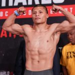 Pitbull Cruz Weight