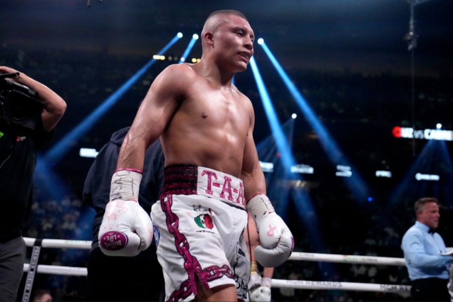 Pitbull Cruz Weight