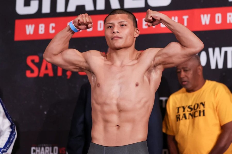 Pitbull Cruz Weight